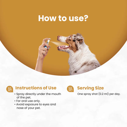 Vetonnix Growth & Development Oral Nutritional Spray for Puppies & Kittens - 20ml